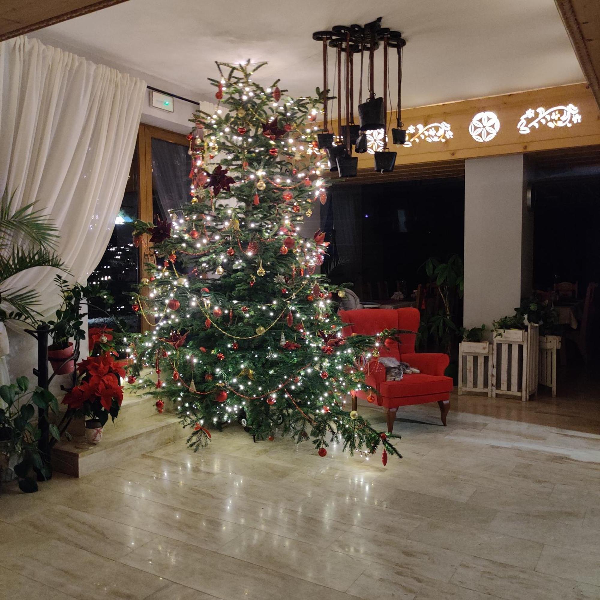 Eco Grand Karpatia Ski&wellness Aparthotel Murzasichle